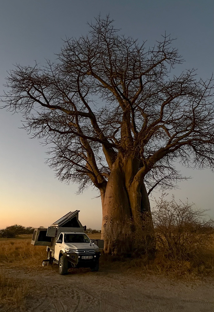 Baines Baobab campsite at sunset