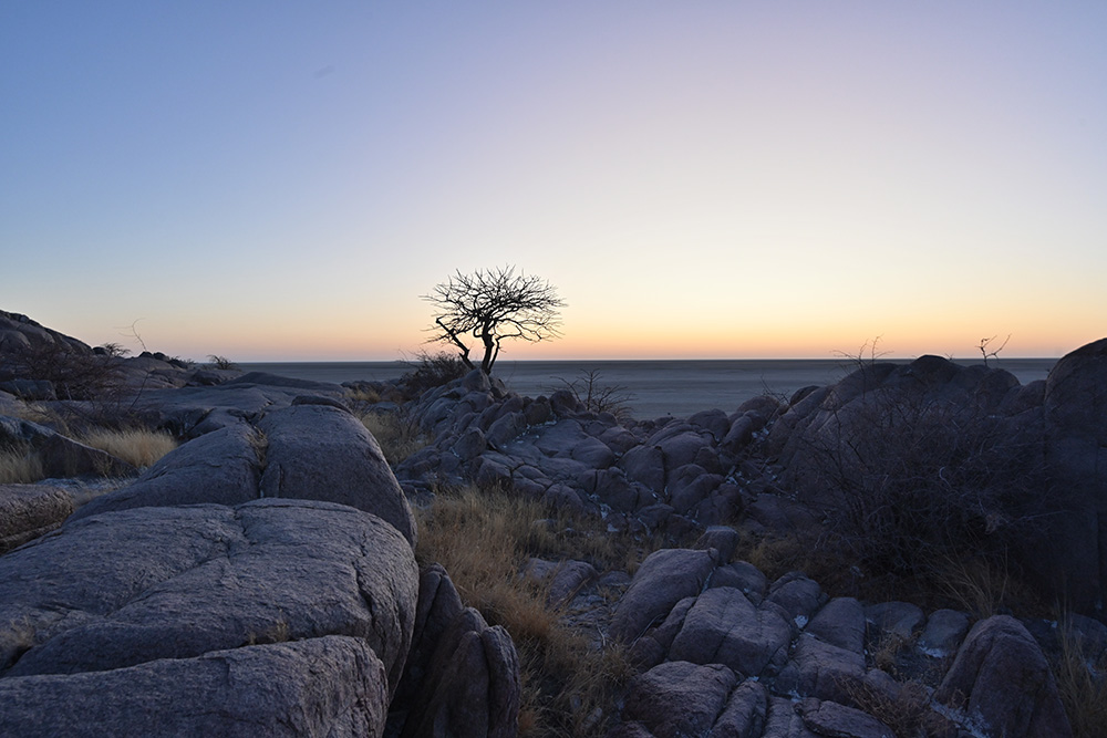 view of Kubu Island at dawn