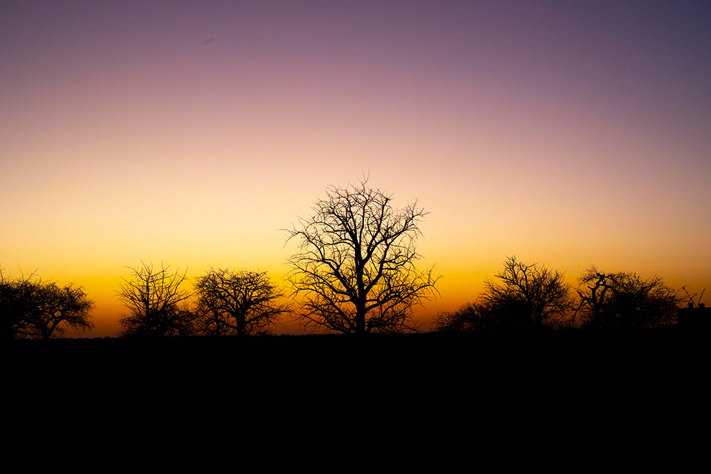 Baines Baobab campsite at sunset