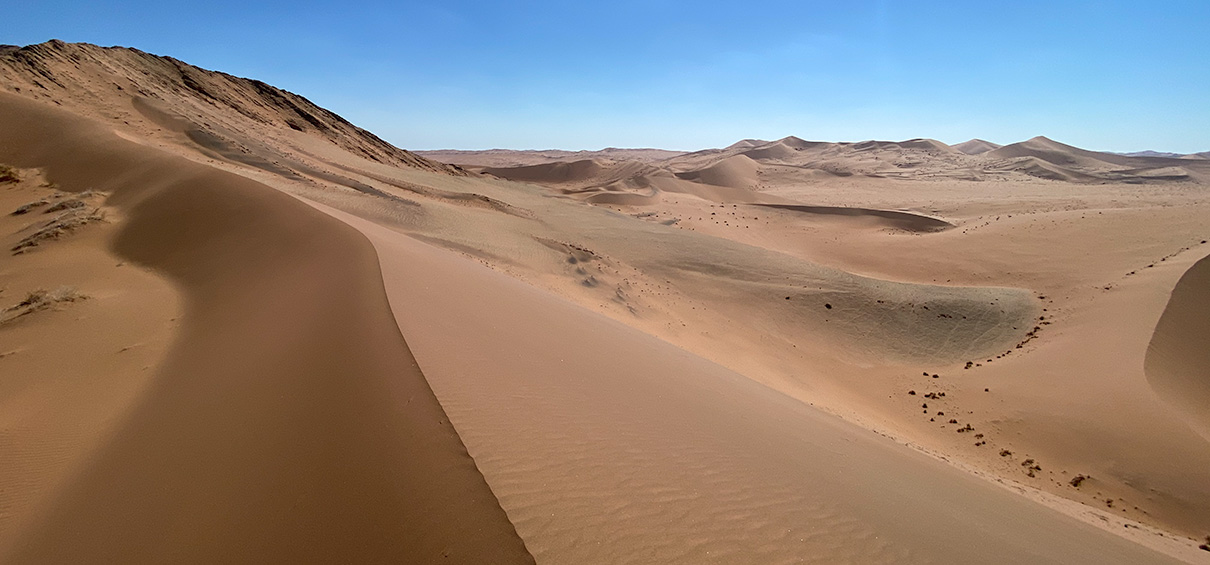 view from the crest of a very tall dune